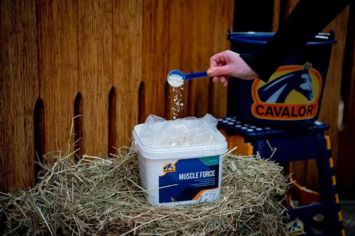 Cavalor Muscle Force Horse Supplement