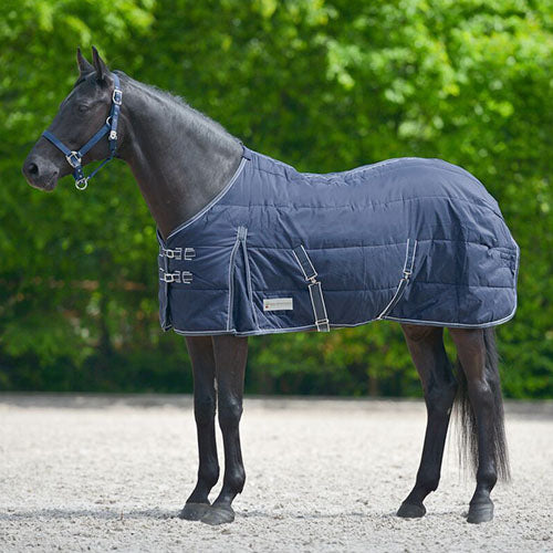 Waldhausen Economy Stable Rug