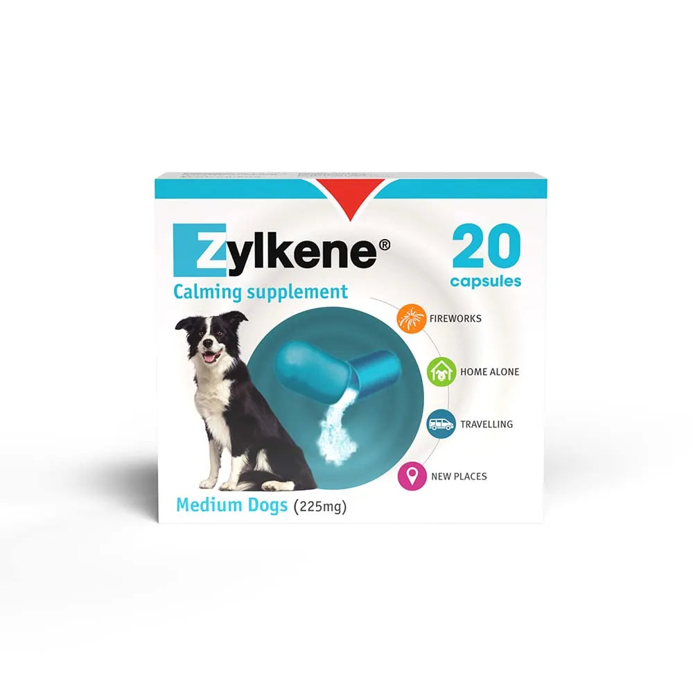 Zylkene Behavioural Support 20 caps