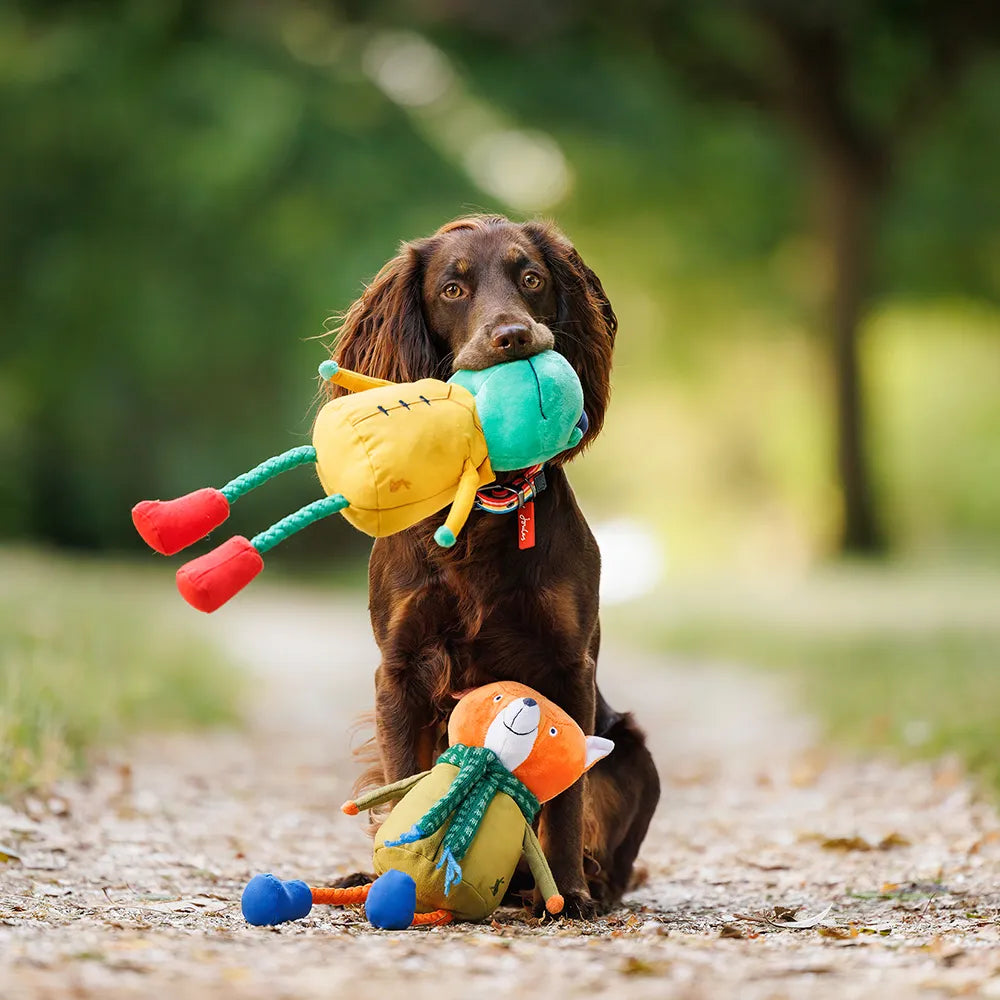 Joules Rope Legs Dog Toy