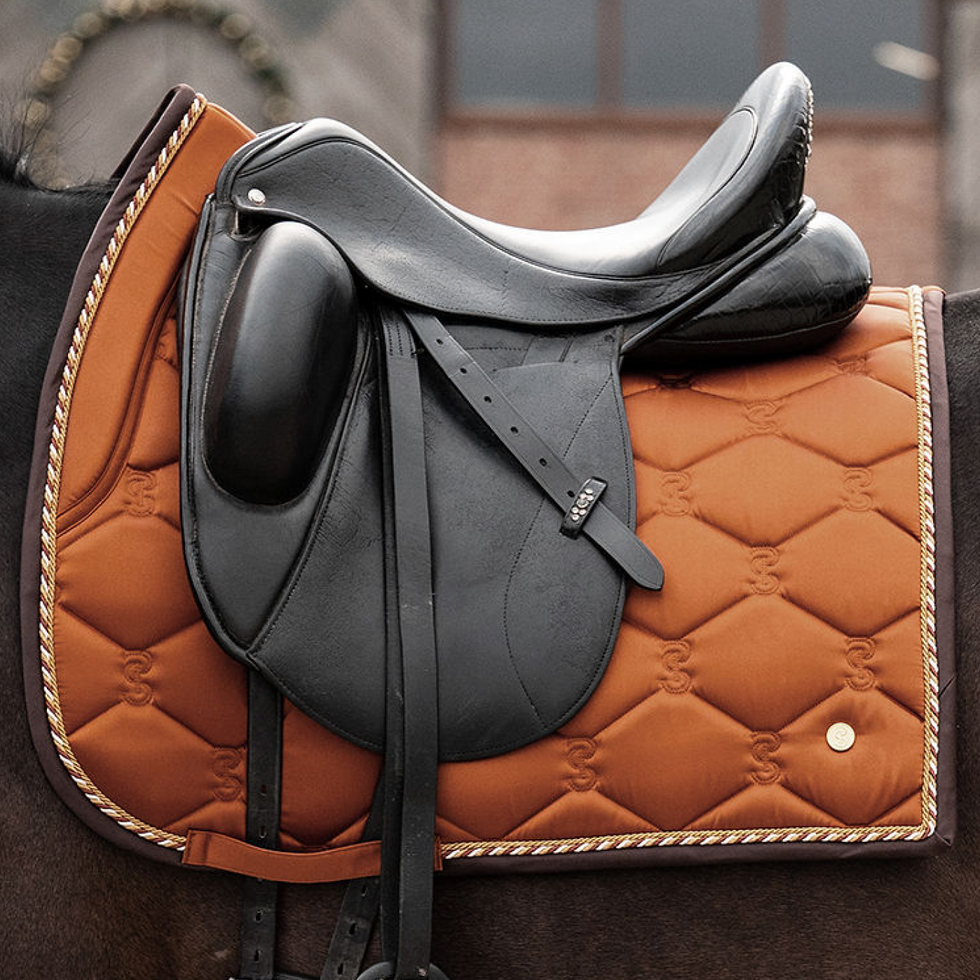 Horse riding supplies deals