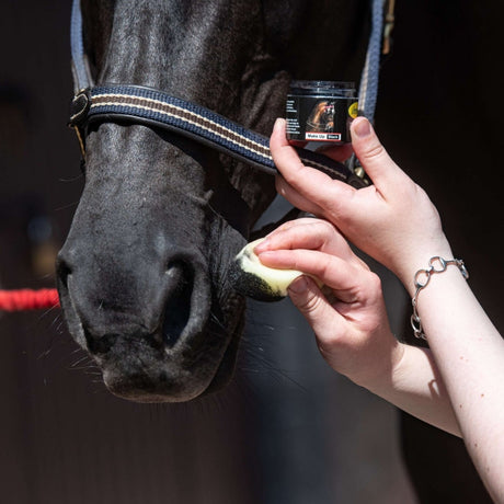 Smart Grooming Make Up for Horses #colour_black