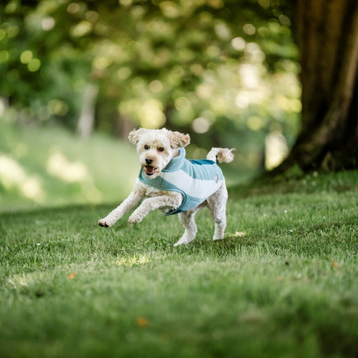 Horseware Ireland Newmarket Dog Fleece #colour_witney-dynasty