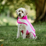 Horseware Ireland Newmarket Dog Fleece #colour_witney-pink