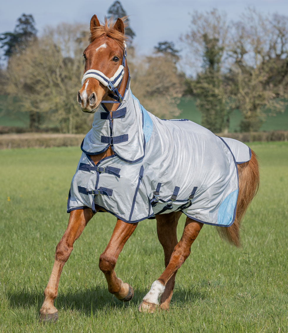 GS Equestrian Horse Riding Equipment, Horse Riding Wear, Horse Tack