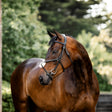 Horseware Ireland Figure 8 Grackle Bridle #colour_black