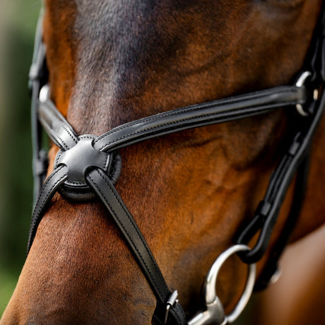 Horseware Ireland Figure 8 Grackle Bridle #colour_black