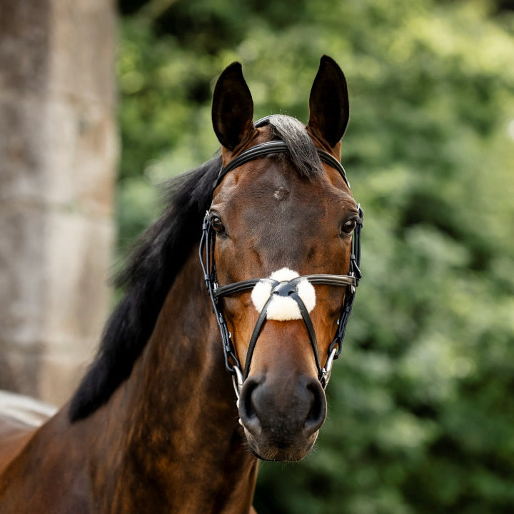 Horseware Ireland Figure 8 Grackle Bridle #colour_black