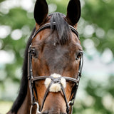 Horseware Ireland Figure 8 Grackle Bridle #colour_brown
