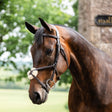 Horseware Ireland Figure 8 Grackle Bridle #colour_brown