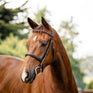 Horseware Ireland Hunter Bridle