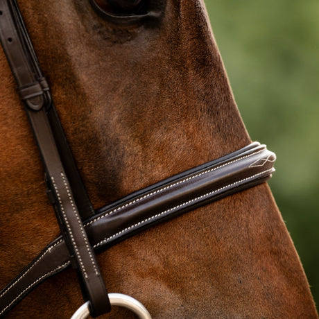 Horseware Ireland Hunter Bridle