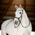 Horseware Ireland Micklem Bitless Bridle #colour_brown