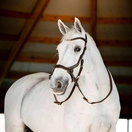 Horseware Ireland Micklem Bitless Bridle #colour_brown