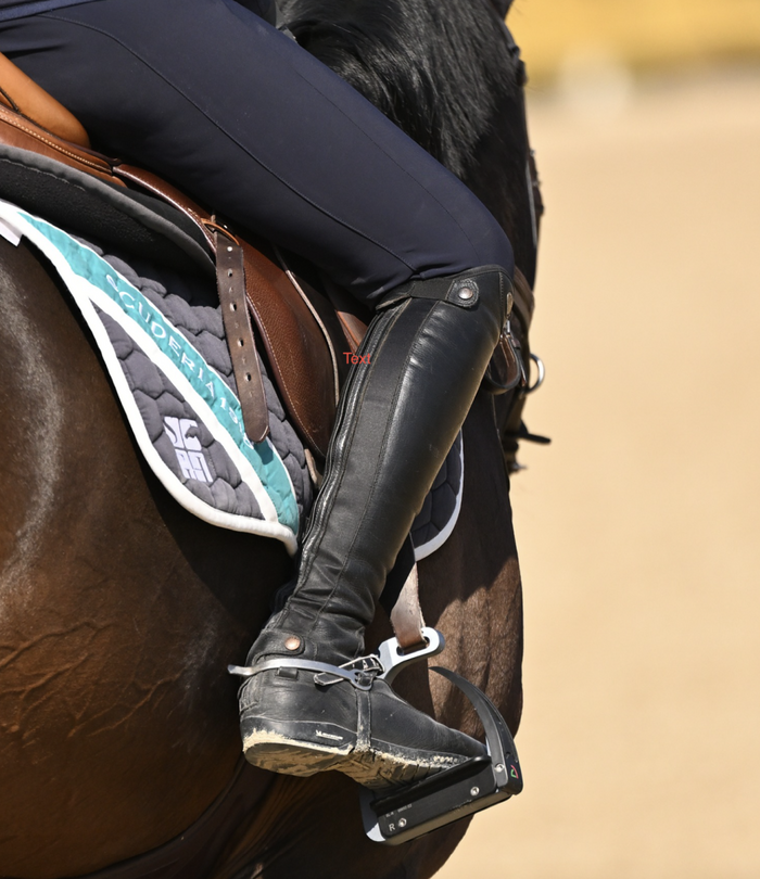 Safe Back Rider Safe Riding – GS Equestrian