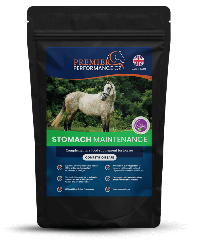 Premier Performance Stomach Maintenance