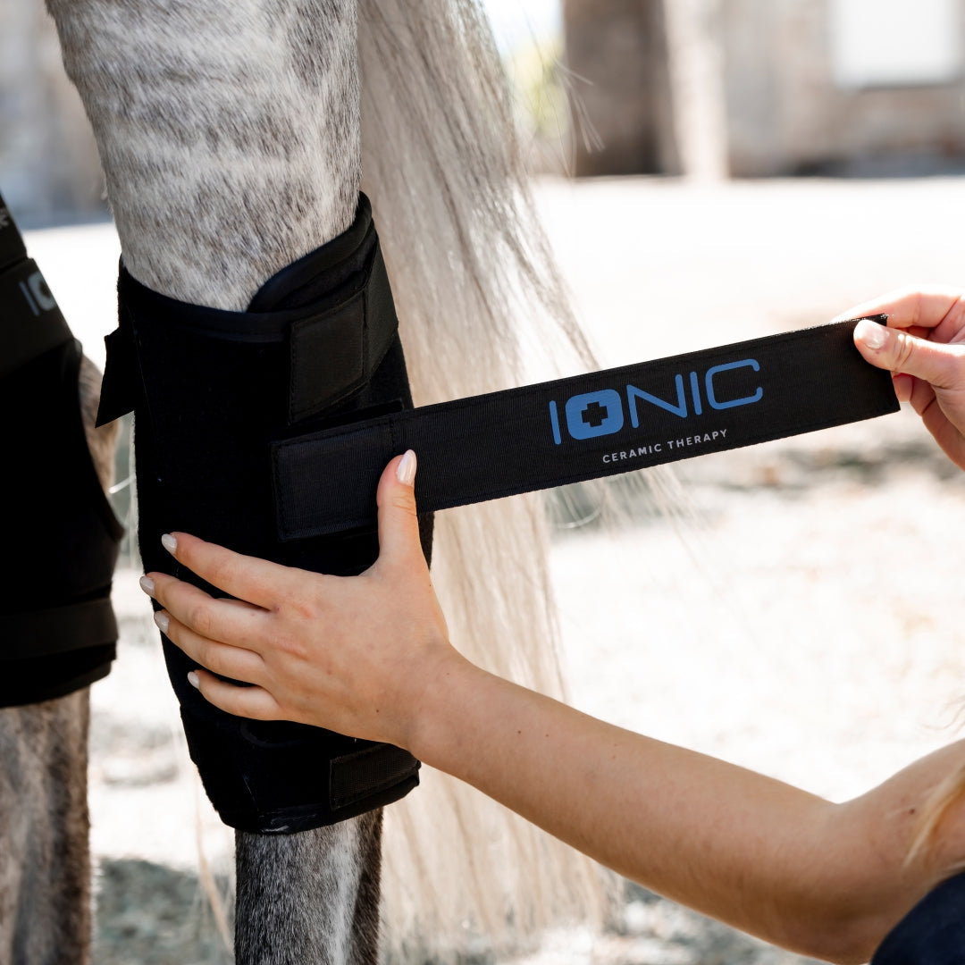 Horseware Ireland Ionic Hock Boots - Set of 2