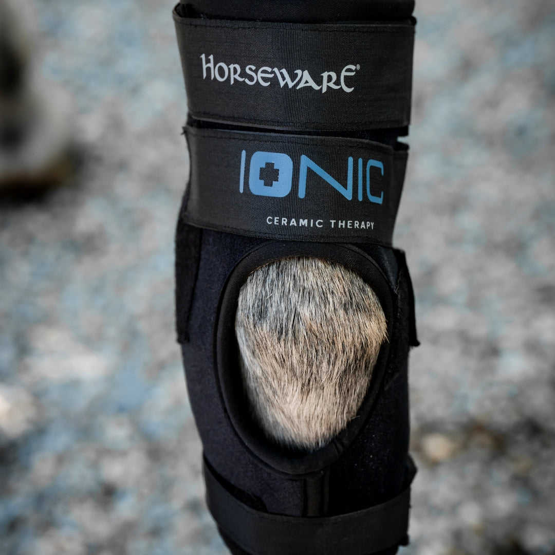 Horseware Ireland Ionic Hock Boots - Set of 2