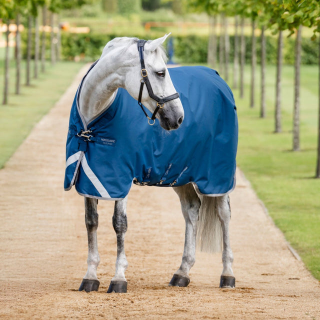 Horseware Ireland Ionic 100g Therapy Turnout Rug #colours_imperial-blue-silver-navy