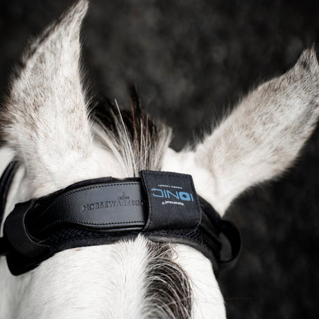 Horseware Ireland Ionic Poll Cover