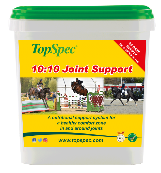 Support conjoint Topspec 10:10