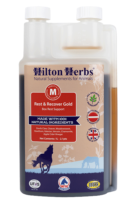Hilton Herbs Rest &amp; Recover Gold
