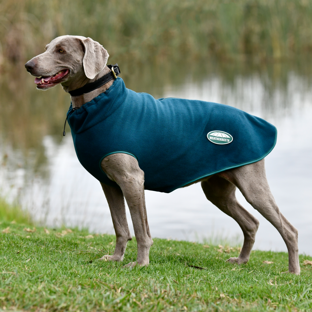 Weatherbeeta fleece zip clearance dog coat