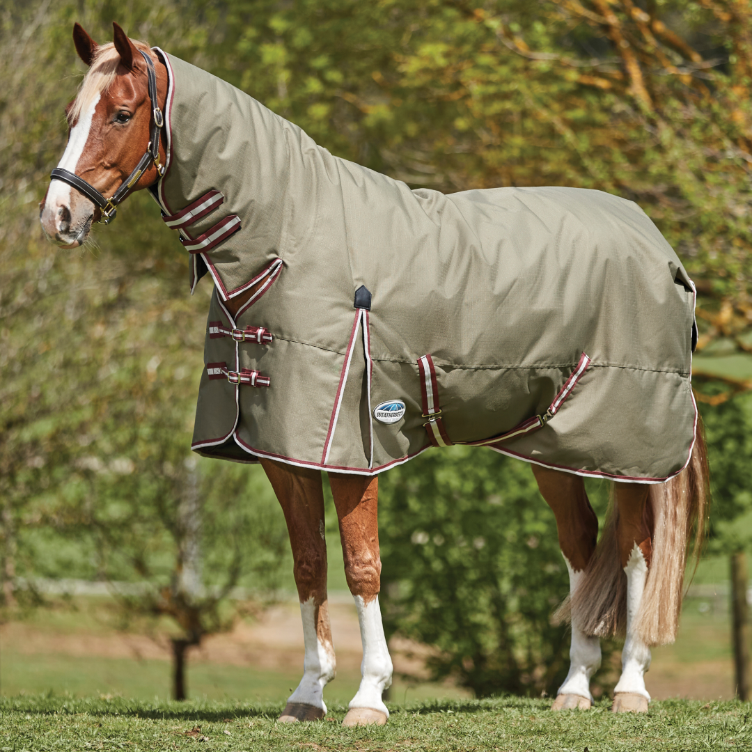 Weatherbeeta ComFiTec Essential Combo Neck Heavy Turnout Rug – GS ...