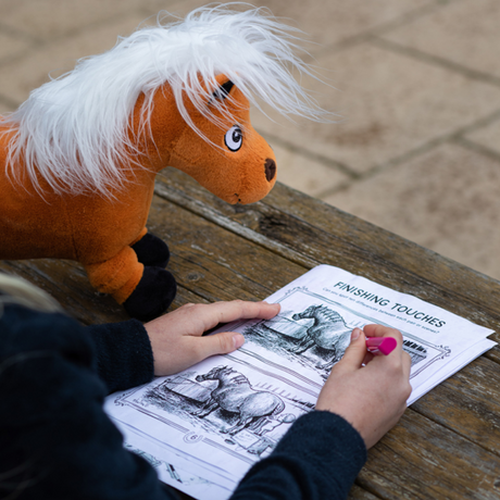 Hy Equestrian Thelwell Collection Activity Book