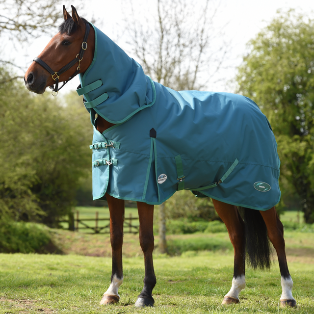 Weatherbeeta Green-Tec 1200D Detach-A-Neck Lite Plus Turnout Rug #colour_dragonfly-blue-bottle-green