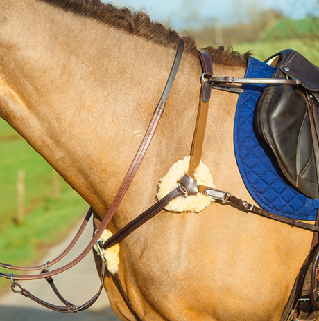 Mackey Classic 5-Point Breastplate #colour_brown