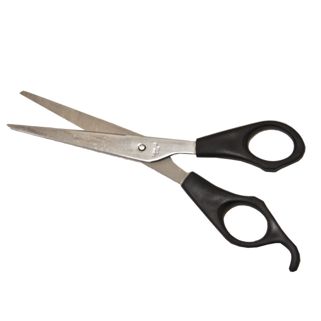 Noorvet Scissors Economy