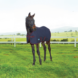 Weatherbeeta 1200D Foal 220G Standard Neck #colour_navy-burgundy