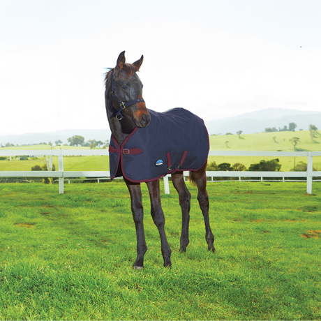Weatherbeeta 1200D Foal 220G Standard Neck #colour_navy-burgundy