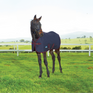 Weatherbeeta 1200D Foal 220G Standard Neck #colour_navy-burgundy