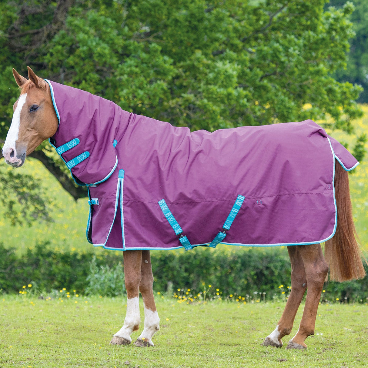 Bridleway Ontario 220g Combo Turnout Rug