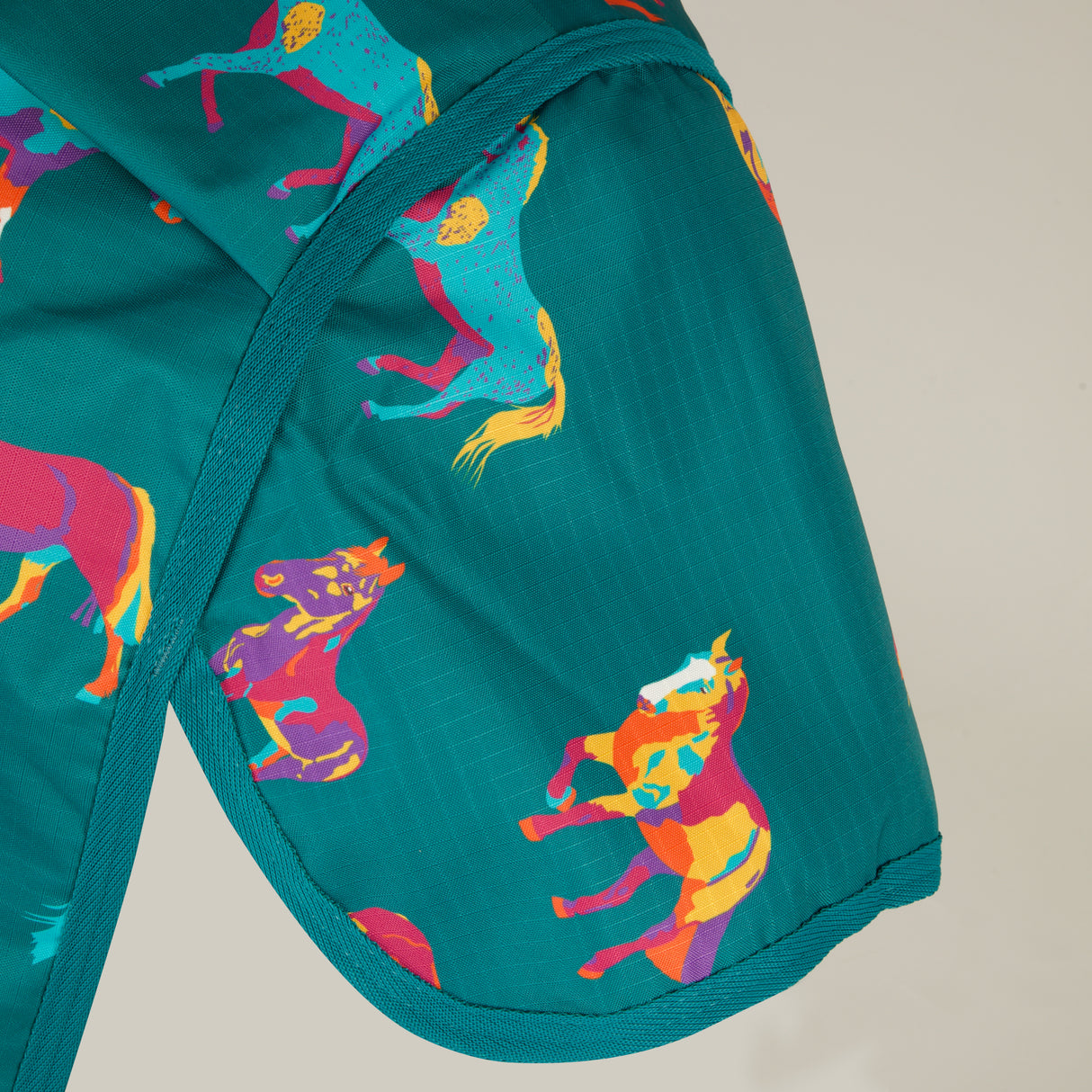 Bridleway Ontario 100g Combo Turnout Rug #colour_teal-horse