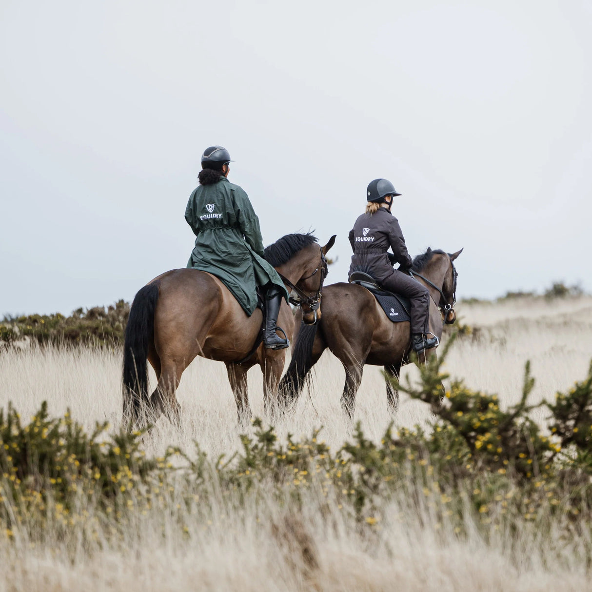 EQUIDRY Women's All-In-One #colour_brown