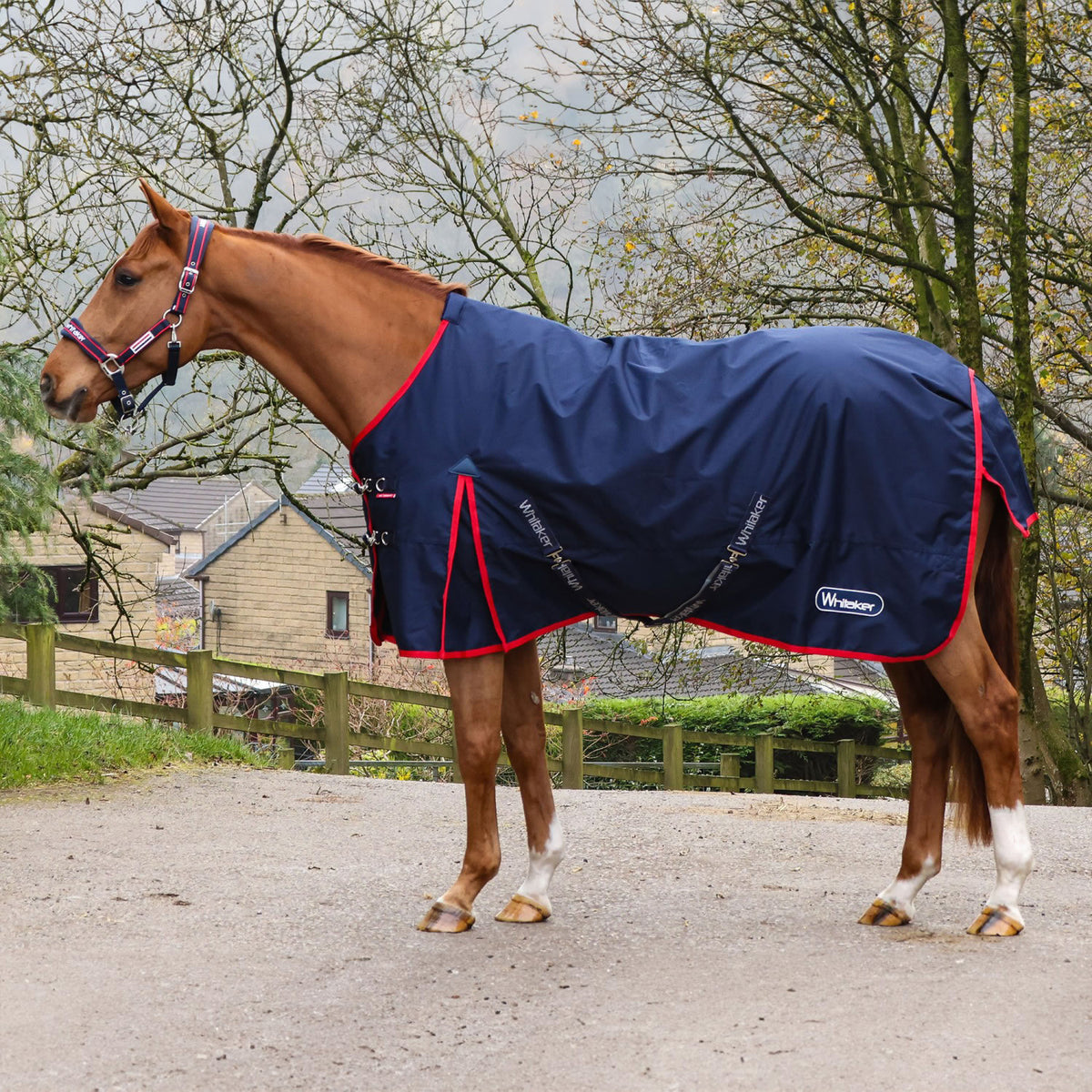 Whitaker Rastrick V2 0g Turnout Rug - Navy / 4'9