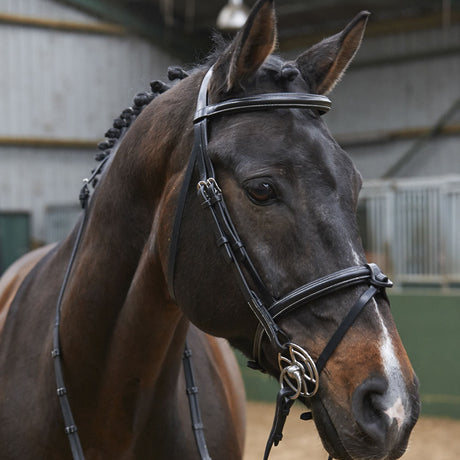 Whitaker Eastwood Raised Flash Bridle With Reins #colour_black