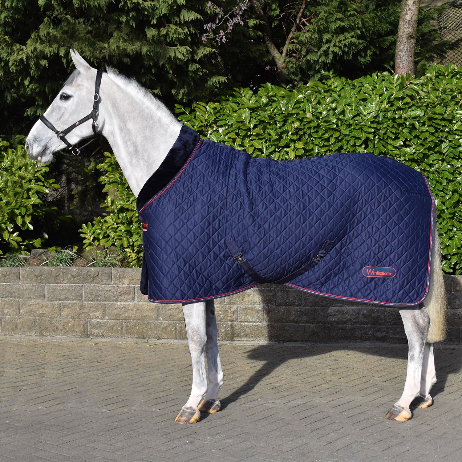 Chinese Rastrick Whitaker Rastrick V2 100g Cosy Rug – GS Equestrian