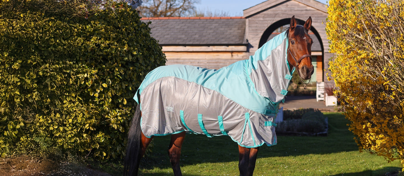 GS Equestrian | Horse Riding Equipment, Horse Riding Wear, Horse Tack