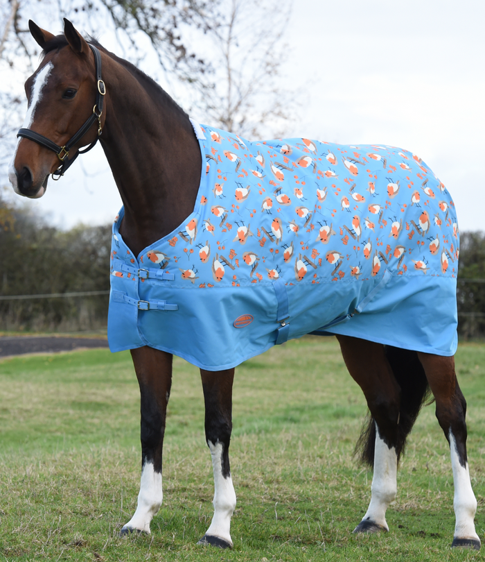 Weatherbeeta rugs deals