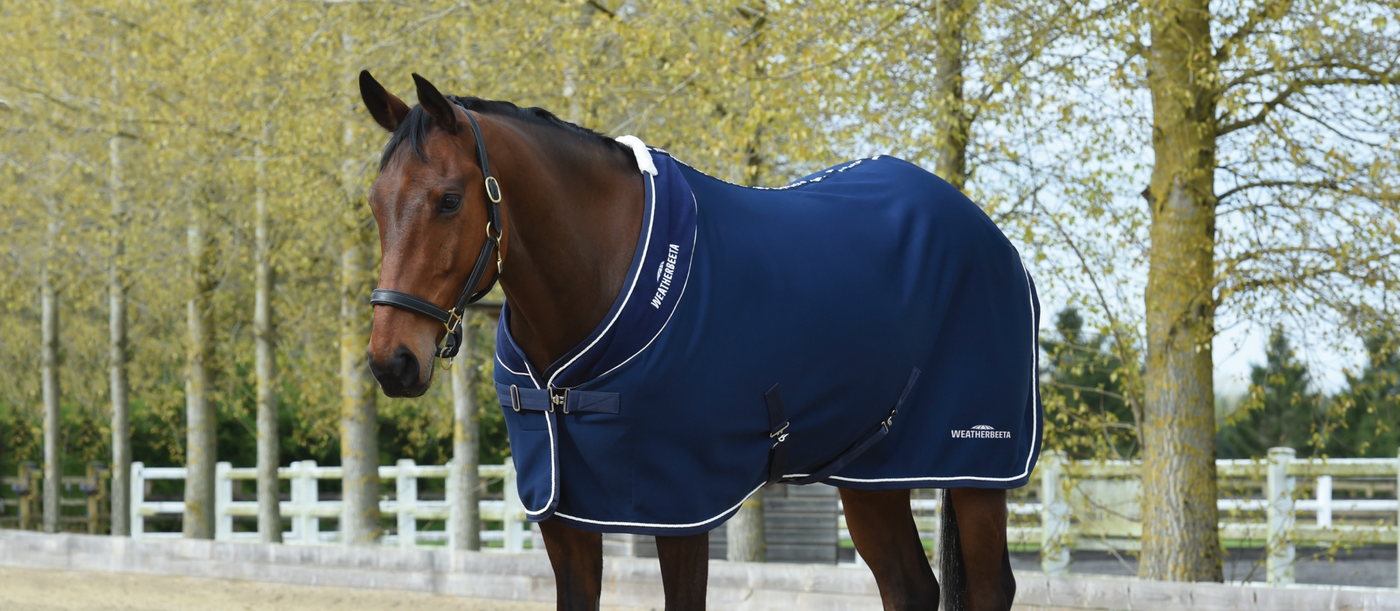 Cheap horse hot sale tack