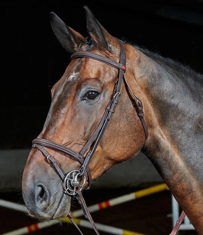 Casque Équitation John Whitaker Nouvelle Génération Rider NRG – Ventilation, Dial-Fit, Coolmax