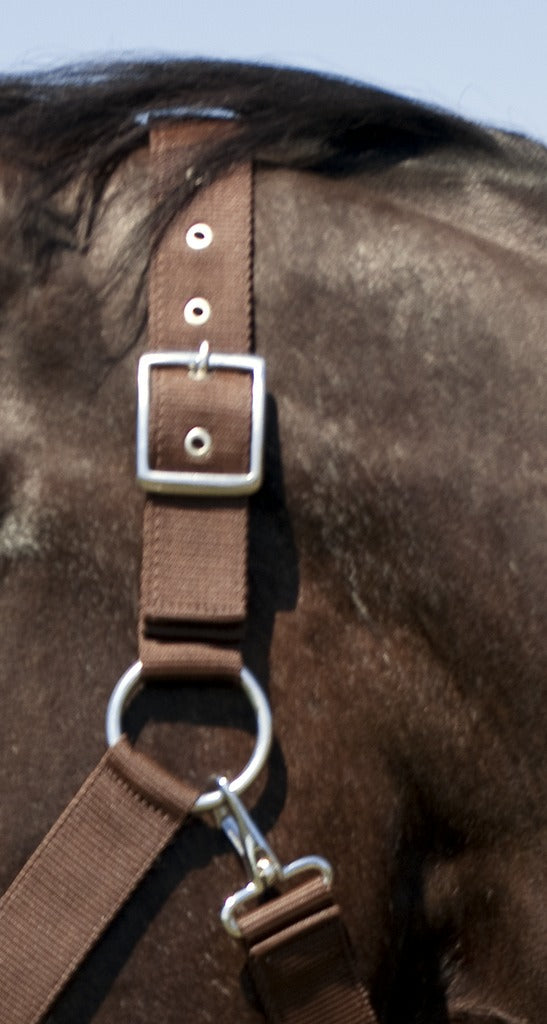 Norton Draught Horse Head Collar #colour_brown