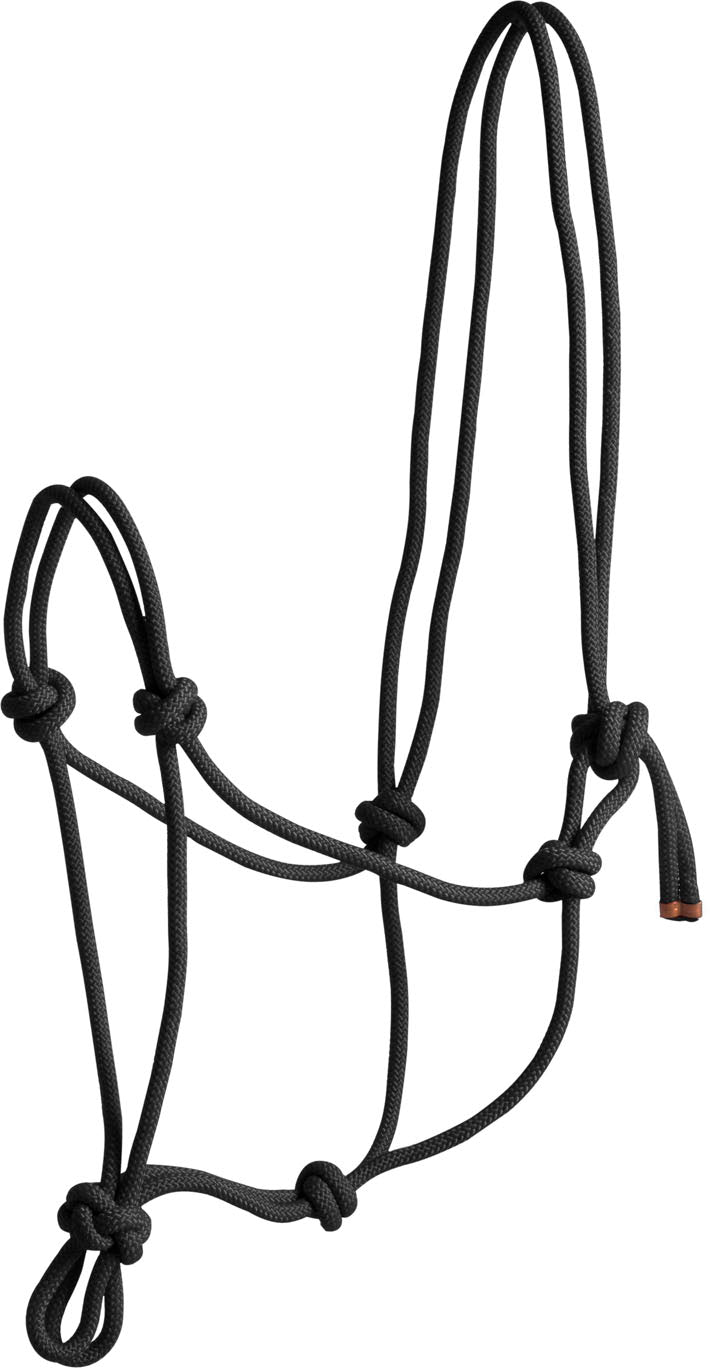 Norton Equestrian Products | GS Equestrian