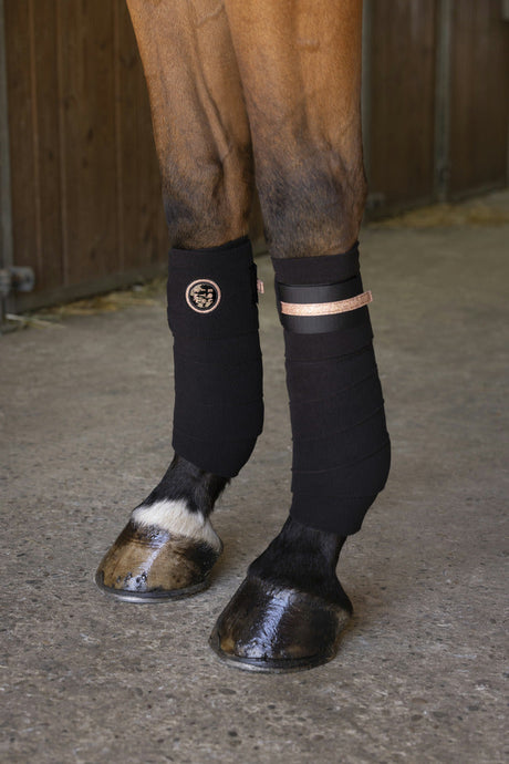 Equitheme Skolstart Polo Bandages #colour_black