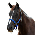 Dublin Braided Leather Padded Horse Headcollar
