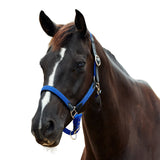 Dublin Braided Leather Padded Horse Headcollar